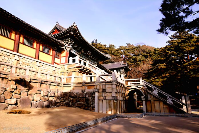 KakaoTalk_20250929_213910124_04