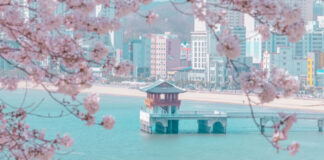 라한호텔 포항, 봄 맞아 드라마 촬영지 잇는 여행 코스 제안