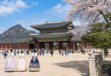 국가관광전략회의 대통령 소속 격상, 관광기본법 통과… 관광정책은 이제 결과로 증명해야 봄날 경복궁과 관광객 모습으로 본 한국 관광 상징 이미지