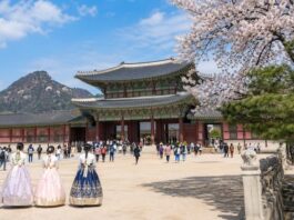 국가관광전략회의 대통령 소속 격상, 관광기본법 통과… 관광정책은 이제 결과로 증명해야 봄날 경복궁과 관광객 모습으로 본 한국 관광 상징 이미지