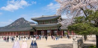 국가관광전략회의 대통령 소속 격상, 관광기본법 통과… 관광정책은 이제 결과로 증명해야 봄날 경복궁과 관광객 모습으로 본 한국 관광 상징 이미지