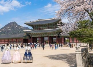 국가관광전략회의 대통령 소속 격상, 관광기본법 통과… 관광정책은 이제 결과로 증명해야 봄날 경복궁과 관광객 모습으로 본 한국 관광 상징 이미지