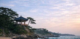 강원 양양 하조대의 해안 절벽 위 정자와 소나무 숲, 잔잔한 파도가 밀려오는 해변 풍경