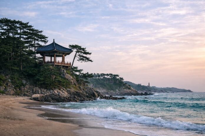 강원 양양 하조대의 해안 절벽 위 정자와 소나무 숲, 잔잔한 파도가 밀려오는 해변 풍경