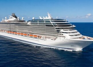 Cruise Series ② Why Korean Travel Agencies Still Sell Cruises Like Cabin Inventory A world-class cruise ship sailing across open blue water