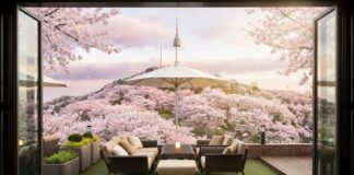 그랜드 하얏트 서울 갤러리 파티오 야외 테라스 벚꽃 Namsan Seoul Tower 남산 벚꽃 뷰 이미지