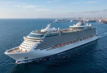 Cruise Series ① Why Korea’s Cruise Market Still Has Not Fully Taken Shape cruise_ship_near_coastal_city.jpg