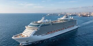 Cruise Series ① Why Korea’s Cruise Market Still Has Not Fully Taken Shape cruise_ship_near_coastal_city.jpg