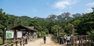 북한산 국립공원 입구와 한산한 등산로 풍경