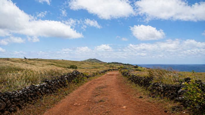 붉은 흙길과 낮은 돌담, 바람에 눕는 풀들이 이스터 섬의 첫 표정을 만든다