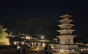 부여의 밤, 세계를 걷다… ‘2026 부여 국가유산 야행’에 외국인 시선 모였다 부여 정림사지 일원의 야경과 국가유산 관광 현장