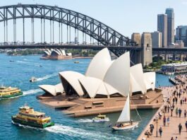 도파민부터 힐링까지, 시드니에서 즐기는 액티비티 7선 시드니 하버브리지와 오페라하우스가 함께 보이는 활기찬 하버 전경