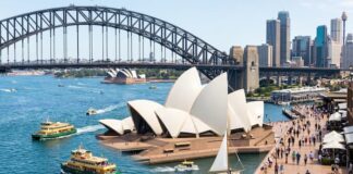 도파민부터 힐링까지, 시드니에서 즐기는 액티비티 7선 시드니 하버브리지와 오페라하우스가 함께 보이는 활기찬 하버 전경