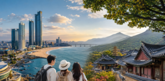 부산 해양관광과 경북 역사문화 관광을 연결한 초광역 관광 이미지