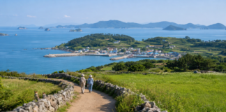 전남 섬섬 걸을래 체류형 걷기 관광 대상지로 선정된 완도 청산도의 섬길과 바다 풍경