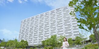 OMO7 오사카, 반려견과 함께 걷는 도심여행 제안… 펫 프렌들리 호텔 경쟁 넓어진다 OMO7 오사카 by 호시노 리조트 반려견 동반 도심여행 이미지