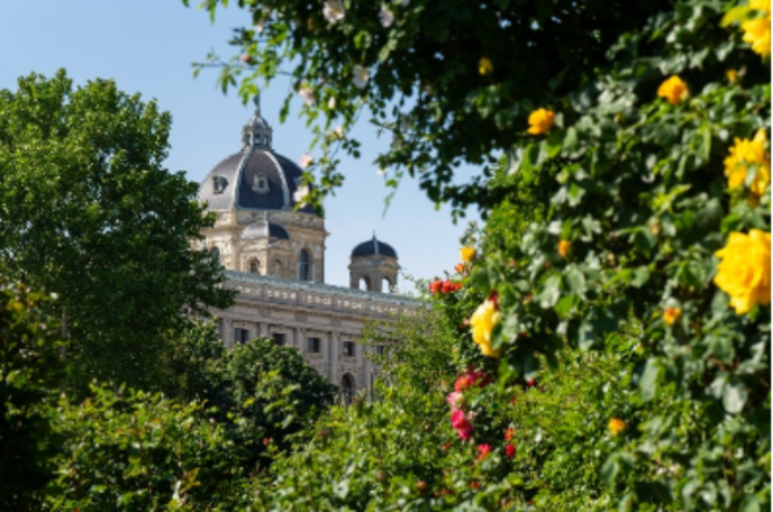vienna-culinary-travel-garden-palace-view 비엔나 미식 여행을 상징하는 궁전 정원과 도심 풍경
