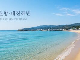대진항과 대진해변이 함께 보이는 고성 북부 동해 여행 대표 이미지