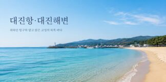 대진항과 대진해변이 함께 보이는 고성 북부 동해 여행 대표 이미지