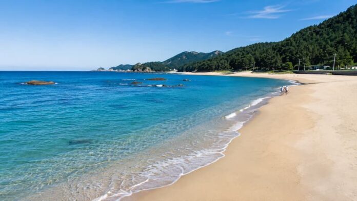 goseong-myeongpa-beach-main-view.jpg 맑은 바다와 넓은 백사장, 숲과 산자락이 어우러진 강원 고성 명파해수욕장 전경