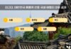 혼자 여행하는 대한민국 여행객이 공항과 도시 여행지, 바다 여행지를 배경으로 이동하는 모습