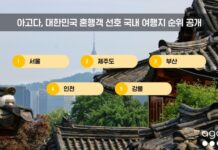 혼자 여행하는 대한민국 여행객이 공항과 도시 여행지, 바다 여행지를 배경으로 이동하는 모습