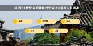 혼자 여행하는 대한민국 여행객이 공항과 도시 여행지, 바다 여행지를 배경으로 이동하는 모습