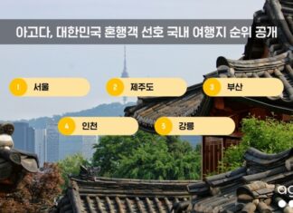혼자 여행하는 대한민국 여행객이 공항과 도시 여행지, 바다 여행지를 배경으로 이동하는 모습