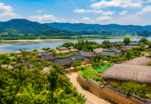 안동 병산서원 만대루와 전통 기와 사이로 붉은 배롱나무꽃이 피어 있는 여름 풍경