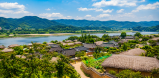 안동 병산서원 만대루와 전통 기와 사이로 붉은 배롱나무꽃이 피어 있는 여름 풍경