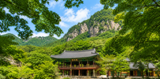 장성 백양사, 단풍보다 먼저 짙어지는 6월 비자나무 숲과 계곡길 장성 백양사 쌍계루와 백암산 초여름 숲 풍경