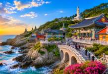 부산 해동용궁사, 파도 소리 따라 걷는 기장 해안 절벽 사찰 부산 해동용궁사 해안 절벽과 동해 일출 풍경