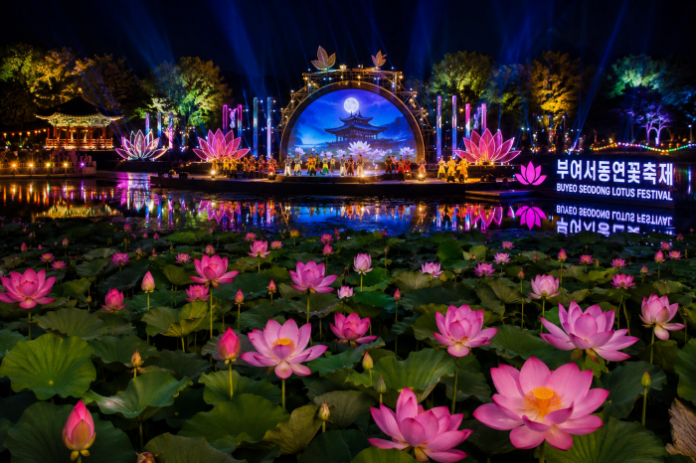buyeo-gungnamji-lotus-festival-night-view 부여서동연꽃축제 궁남지 야간경관과 연꽃 축제 수변무대