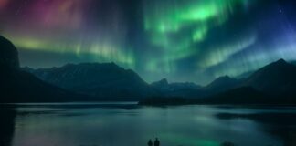 Aurora scene from Can This Love Be Translated and Alberta screen tourism marketing