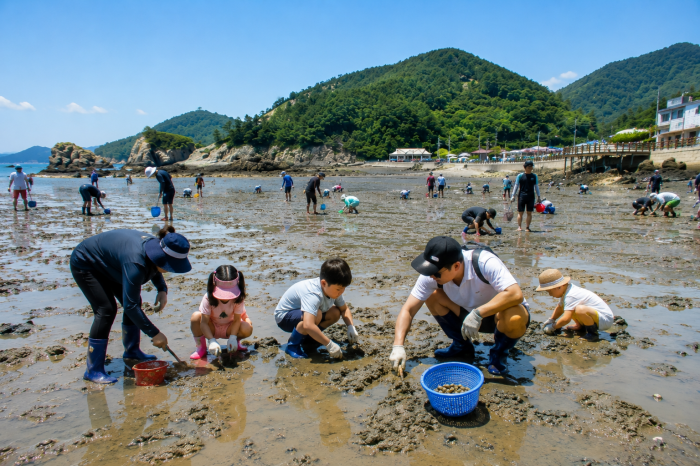 거제 다대어촌체험휴양마을 가족 갯벌체험