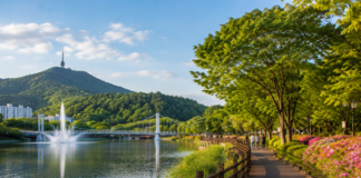 대구 월광수변공원 호수 데크길과 수변 산책로