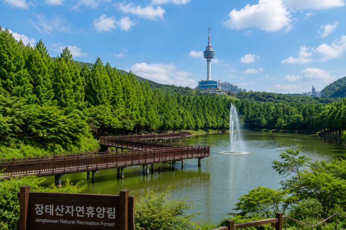 대전 장태산자연휴양림과 포항 영일대 스페이스워크 여행 이미지