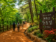 대전 계족산 황톳길, 10km 숲길 따라 산성과 봉황정까지 걷는 힐링 트레킹 명소 대전 계족산 장동산림욕장 숲속 황톳길을 걷는 여행자들