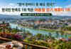 베트남 달랏 한 달 살기, 영어 부담 줄이고 여름을 피하는 고원 장기 체류지 베트남 달랏 한 달 살기와 여름 장기 체류 고원 도시 여행