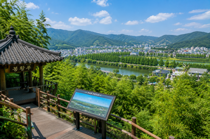 담양 죽녹원 전망대와 봉황루에서 내려다보는 담양천과 관방제림 풍경