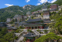 소백산 연화봉 아래 자리한 단양 구인사 전경
