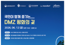 양구 두타연과 DMZ 평화의 길 숲길 풍경