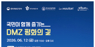 양구 두타연과 DMZ 평화의 길 숲길 풍경