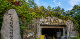 동해 천곡황금박쥐동굴, 아파트 공사 중 발견된 4억~5억 년 전 도심 석회암 동굴 동해 천곡황금박쥐동굴 입구와 도심 속 석회암 동굴 여행