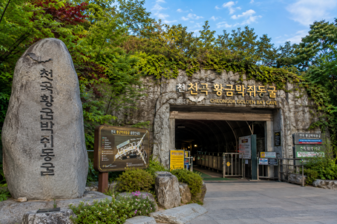 동해 천곡황금박쥐동굴 입구와 도심 속 석회암 동굴 여행