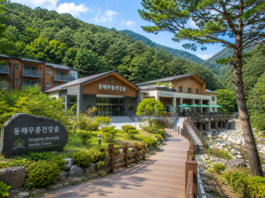동해무릉건강숲 숙박동과 무릉계곡 숲속 웰니스 공간