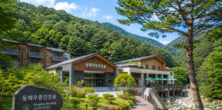 동해무릉건강숲, 2인 8만 원대에 조식·찜질까지 묶는 숲속 웰니스 숙소 동해무릉건강숲 숙박동과 무릉계곡 숲속 웰니스 공간
