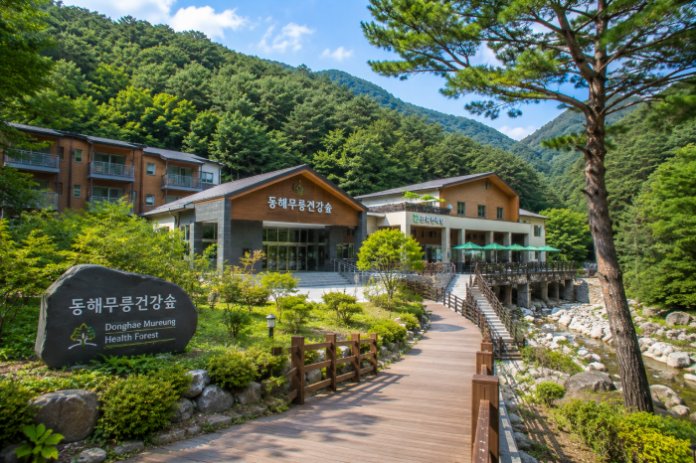 donghae-mureung-health-forest-wellness-stay 동해무릉건강숲 숙박동과 무릉계곡 숲속 웰니스 공간