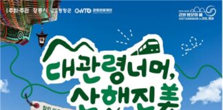 강릉 바다와 평창 산을 잇는 대관령 너머 산해진미 체류여행