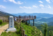강원 DMZ 평화의 길, 공중 전망대와 전적지 잇는 당일치기 역사 여행 강원 DMZ 평화의 길 공중 전망대와 접경지역 숲길 풍경